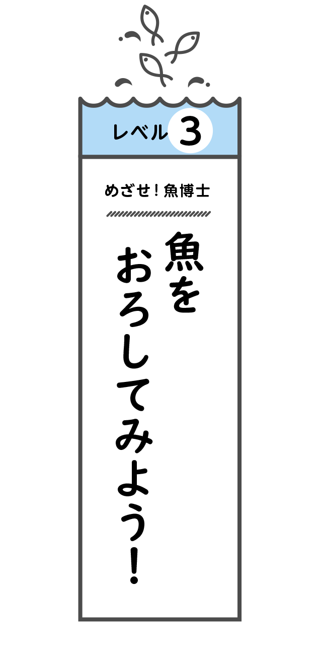 レベル3 めざせ！魚博士 魚をおろしてみよう！