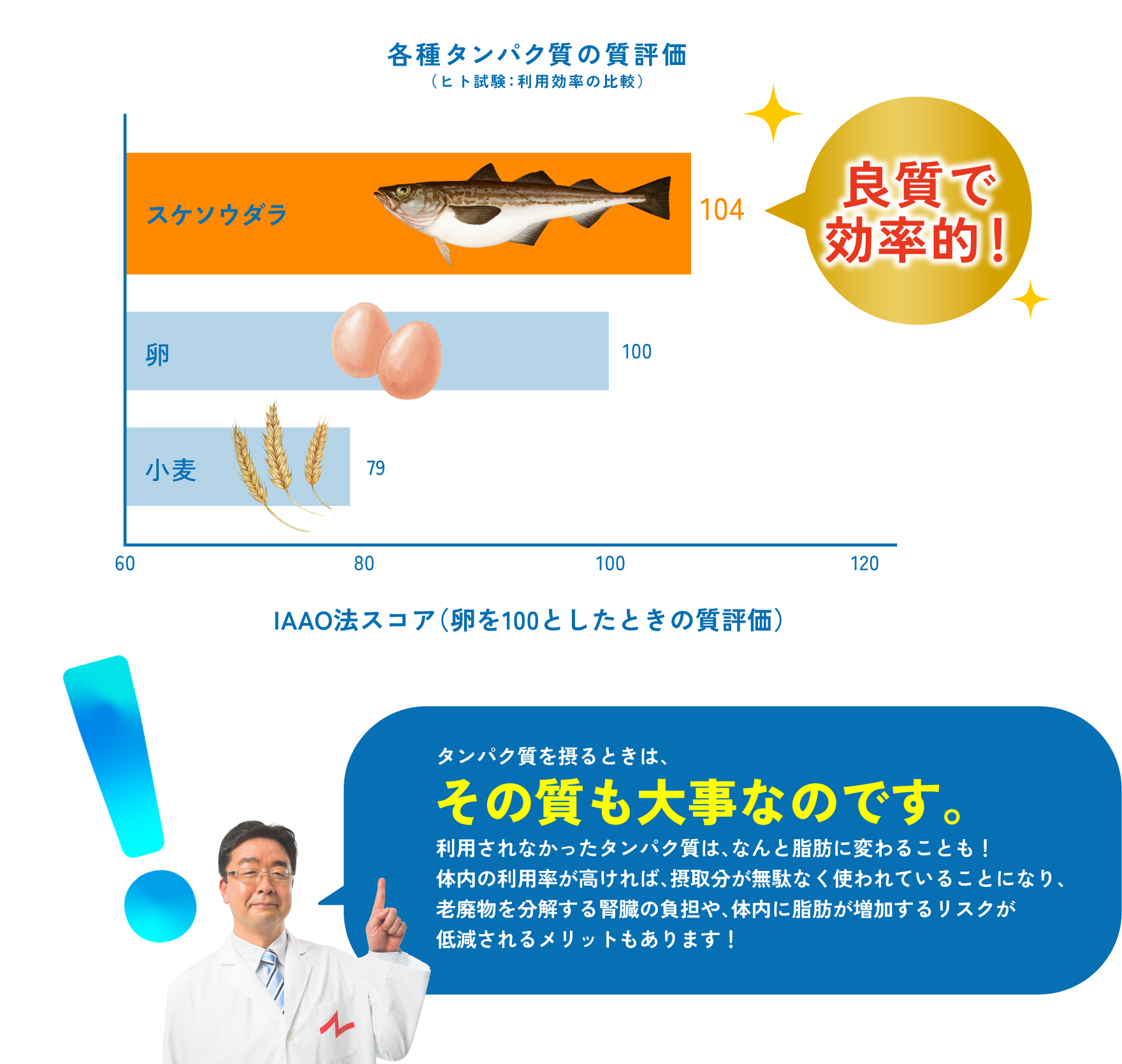 各種タンパク質の質評価（ヒト試験：利用効率の比較）スケソウダラ 良質で効率的！ IAAO法スコア（卵を100としたときの質評価）タンパク質を摂るときは、その質も大事なのです。利用されなかったタンパク質は、なんと脂肪に変わることも！ 体内の利用率が高ければ、摂取分が無駄なく使われていることになり、 老廃物を分解する腎臓の負担や、体内に脂肪が増加するリスクが 低減されるメリットもあります！