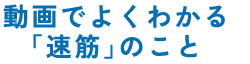 動画でよくわかる「速筋」のこと