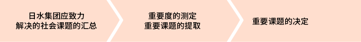 Nissui集团应致力解决的社会课题的汇总 重要度测定  重要课题提取 重要课题的决定